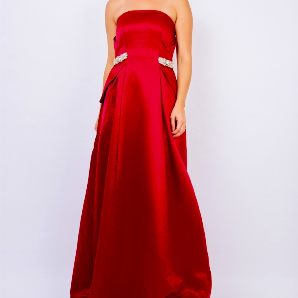 Strapless Brand New RAOUL Dress